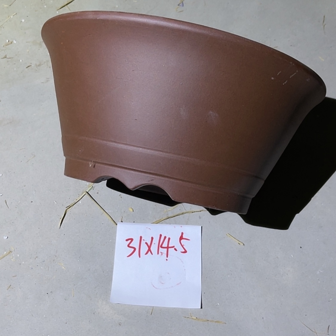 【闪购商品】紫砂20cm(含)-50cm(含)