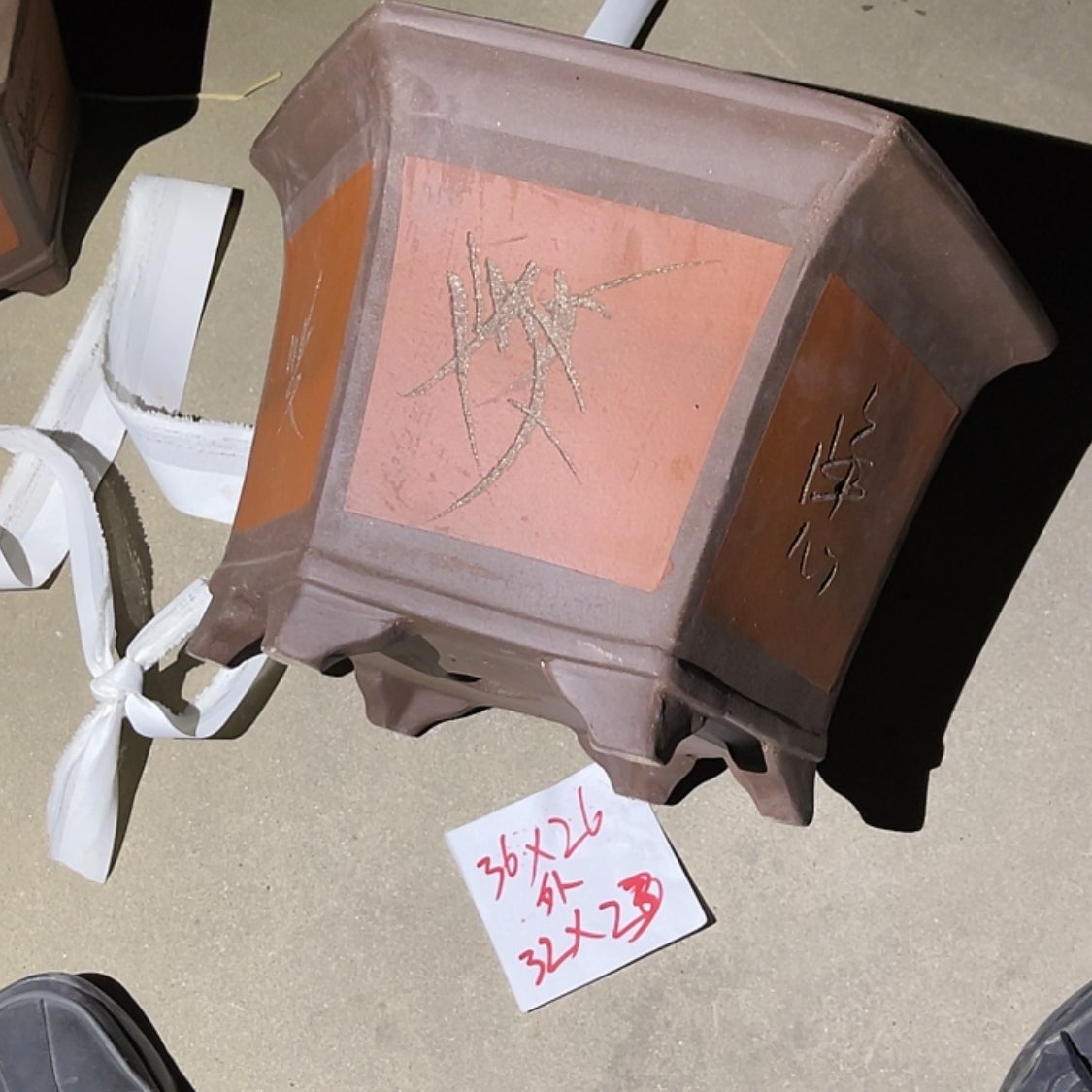 【闪购商品】紫砂20cm(含)-50cm(含)