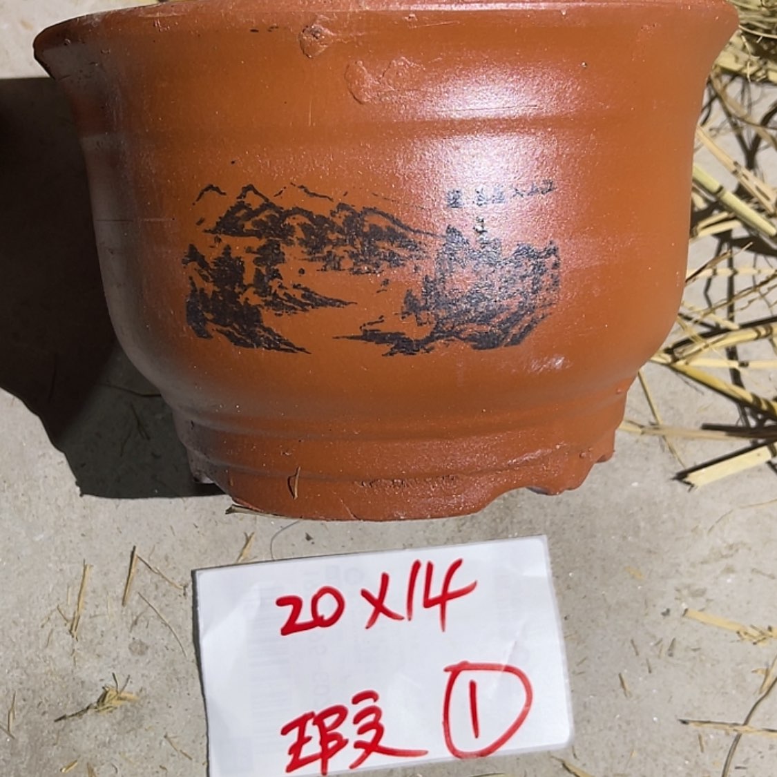 【闪购商品】紫砂20cm(含)-50cm(含)