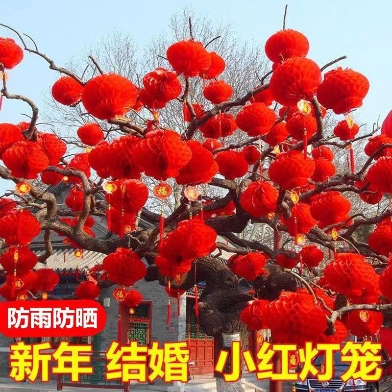 春节喜庆灯笼户外悬挂大红灯笼婚庆开业节日商场装饰新年小纸灯笼