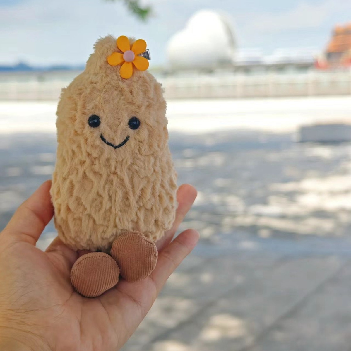 英国little花生玩偶可爱小花生公仔手心玩偶摆件节日礼物毛绒玩具