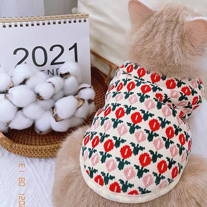 郁金香棉马甲宠物猫咪衣服泰迪比熊小型犬雪纳瑞狗狗博美秋冬新款
