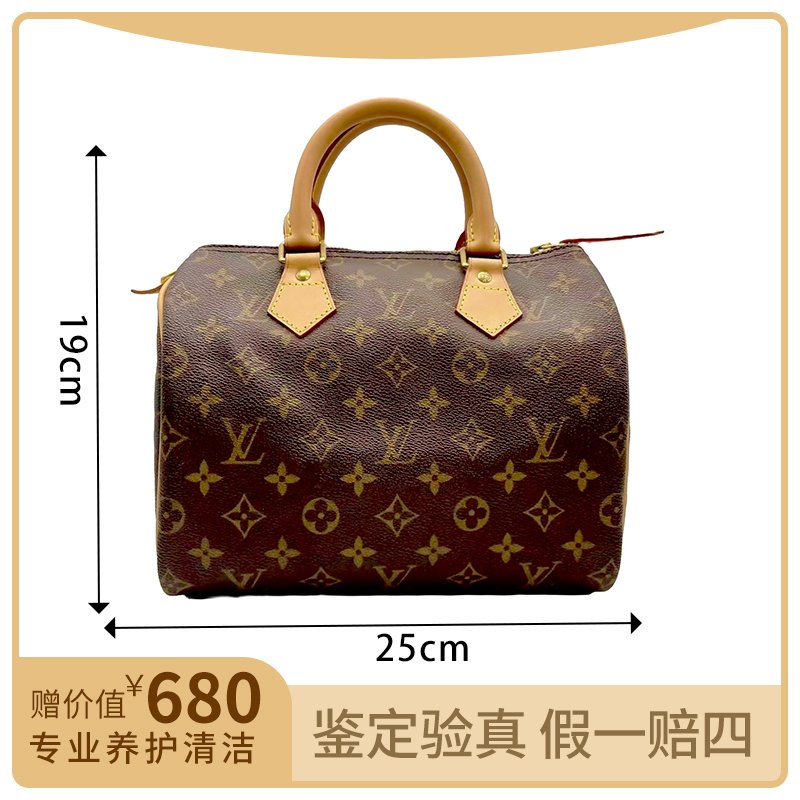 95新 LouisVuitton/路易威登  LVspeedy 25枕头包【小小】