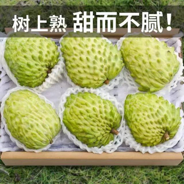 凤梨释迦果牛奶番荔枝新鲜甜水果大目释迦果林檎3～5斤一整箱