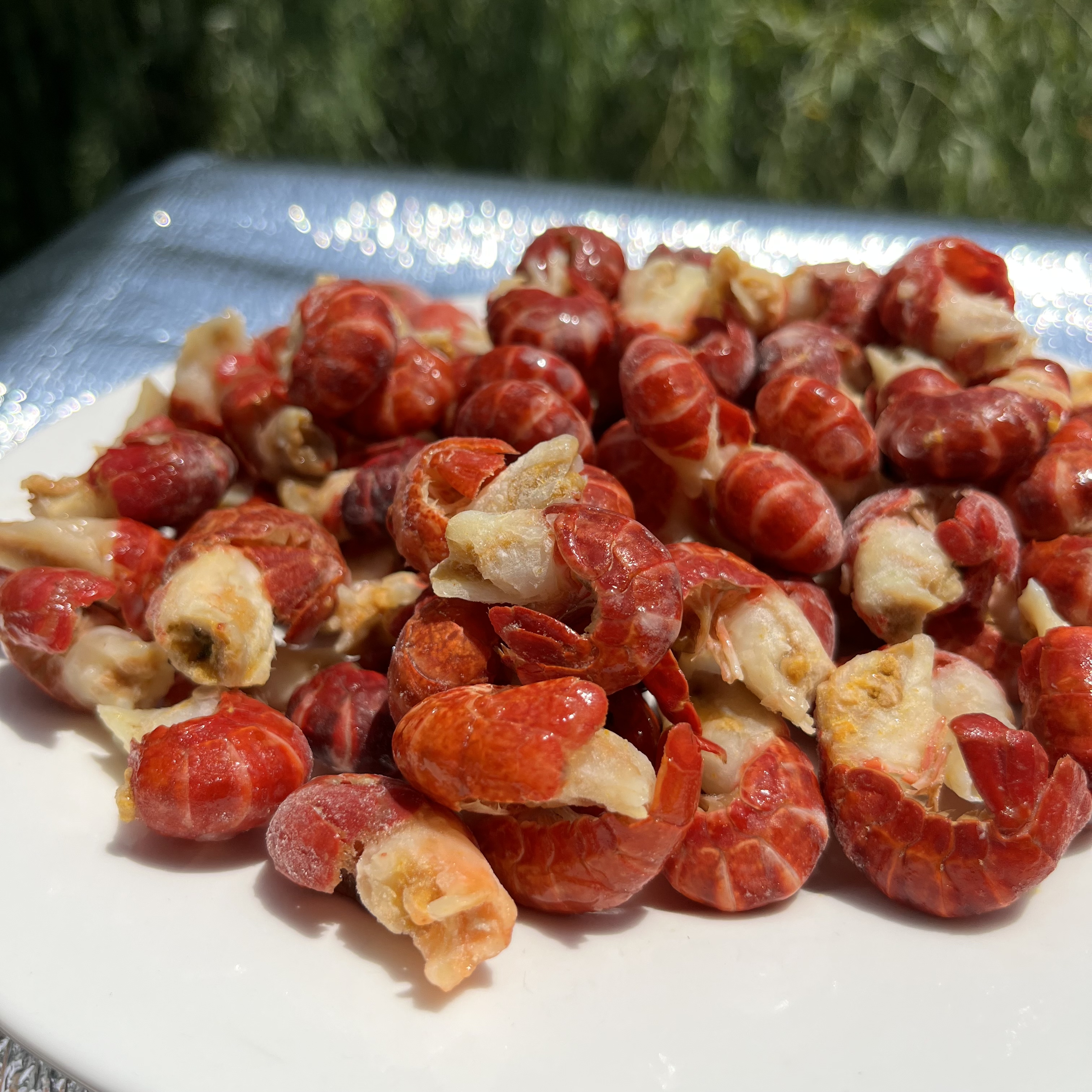 （一级）新鲜现剥大个单冻龙虾尾净重3斤送调料