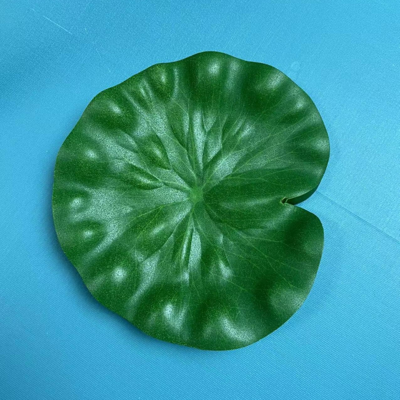 DIY睡莲荷叶仿真绿植绿色观叶