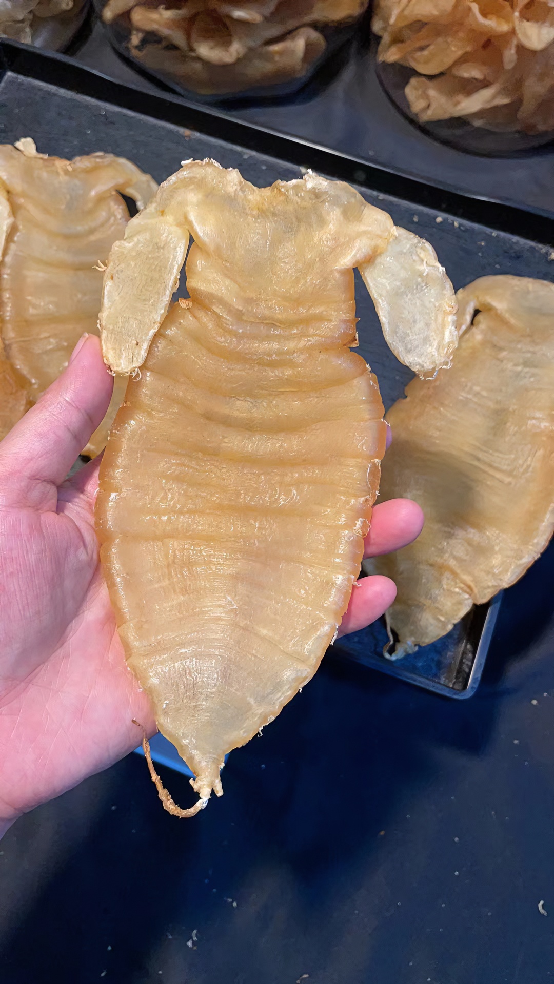 慈家广东汕头鱼胶花胶大耳赤嘴250g月子胶