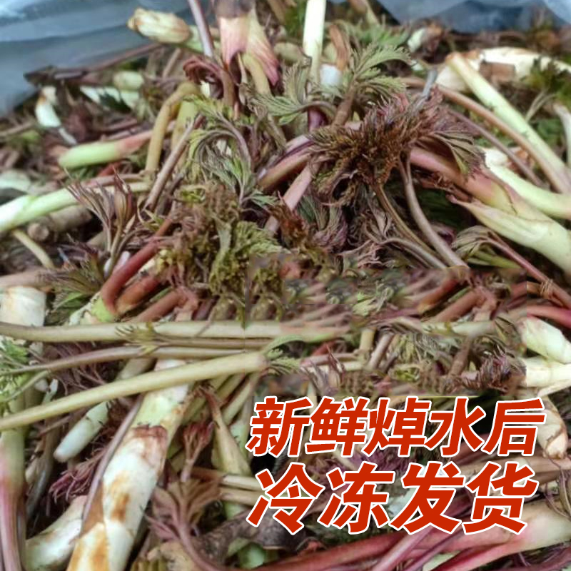 东北特产山野菜荞麦秧500g包邮当年新货焯水速冻