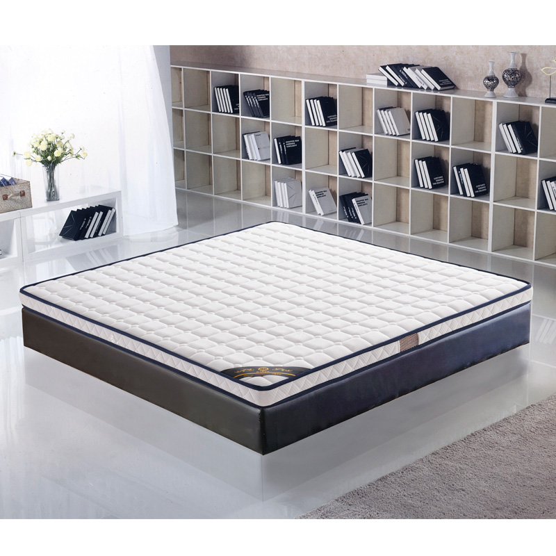 海马伊品梦环保棕垫天然椰棕床垫偏硬家用1.5米1.8米薄款定制尺寸