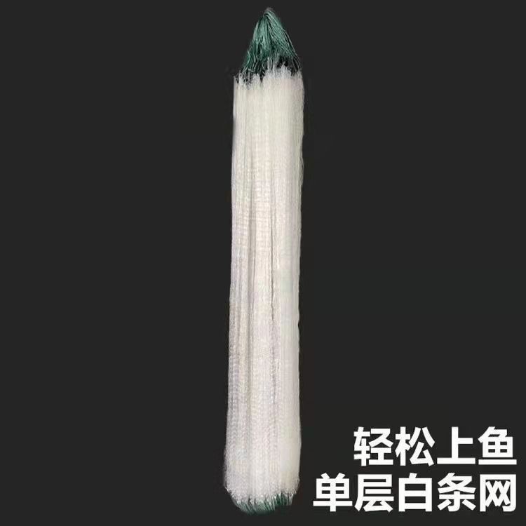小鱼批发网捕鱼三层捞鱼直销网专用柔丝网白条50米长网眼沉网小型