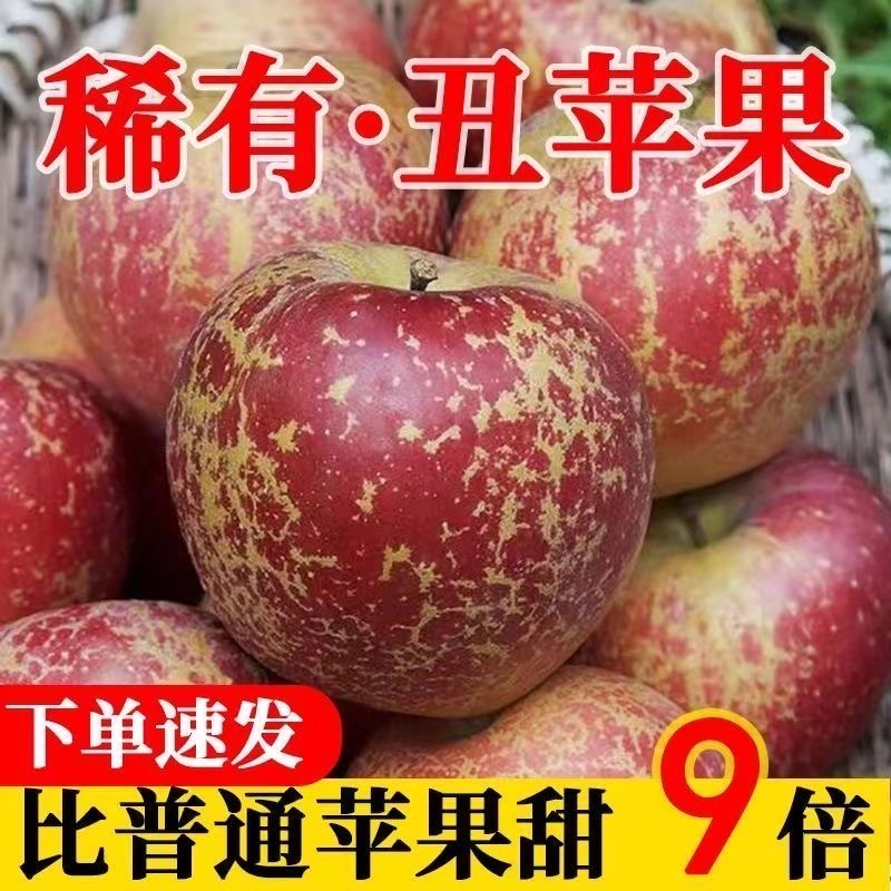 【现摘现发5斤】2023新鲜脆甜冰糖心丑苹果当季苹果汁水多甜高