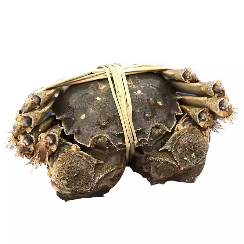 大闸蟹(大母)110-130g/只  约2两