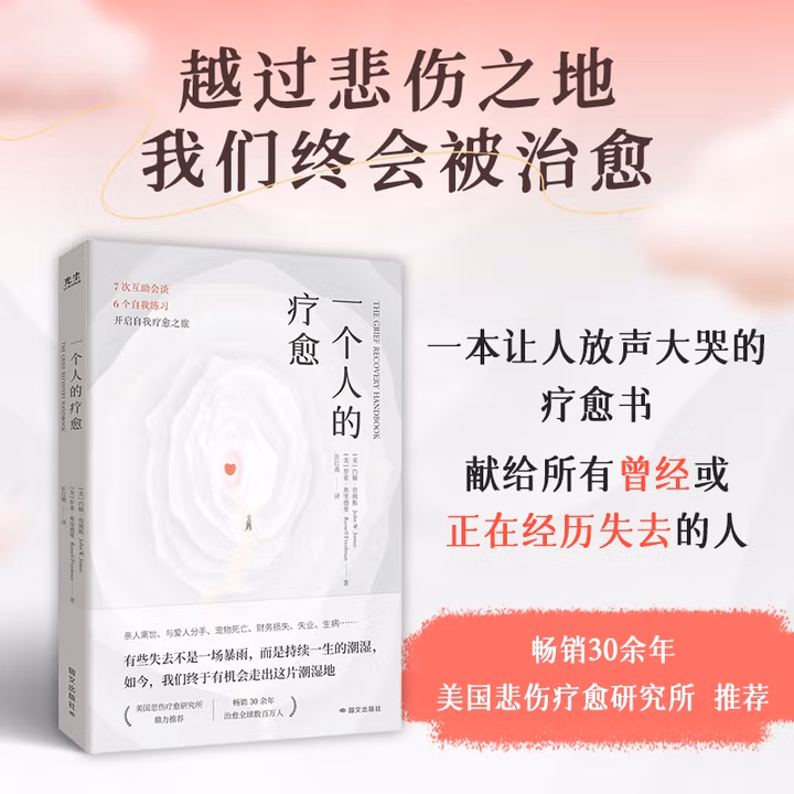 一个人的疗愈：越过悲伤之地，我们终会被治愈互助会谈+自我练习