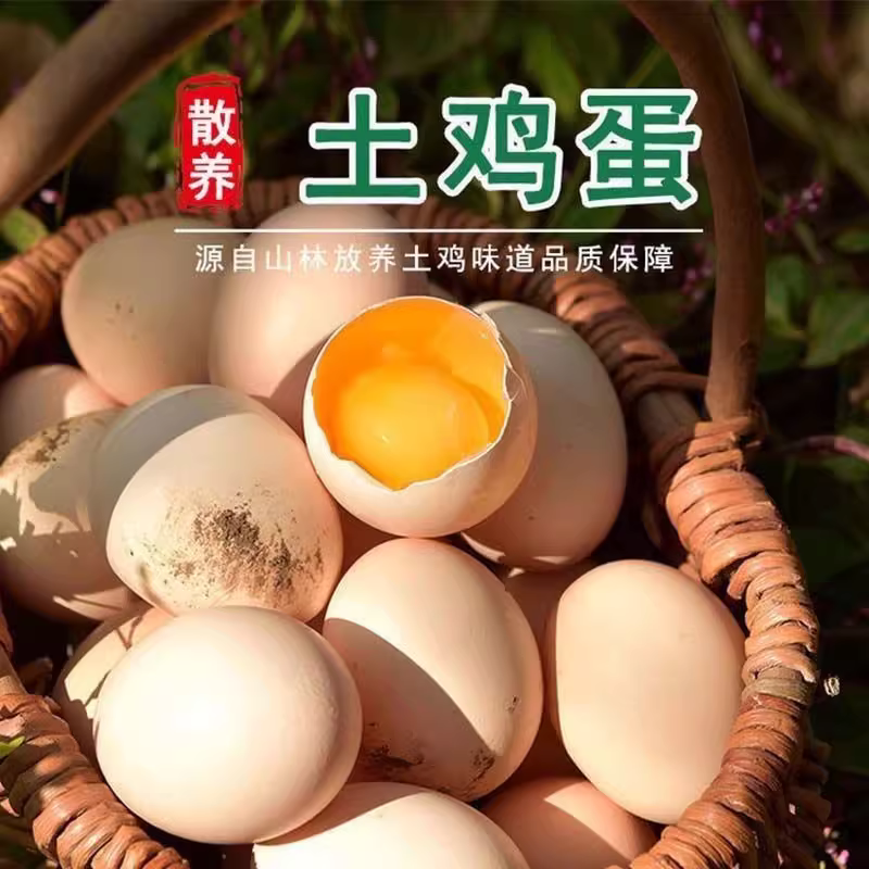 张益宁农家散养土鸡蛋50枚粉壳营养谷物新鲜鸡蛋散养笨鸡蛋柴鸡蛋