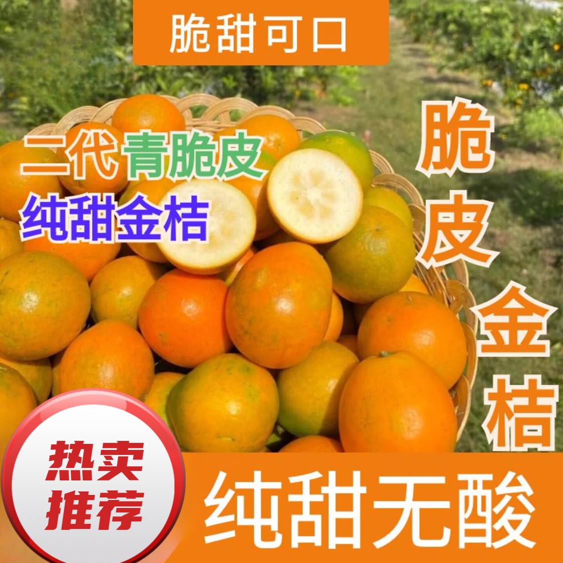 纯甜广西金桔脆皮纯甜 香甜肉脆  新鲜水果 2/3/5斤/箱 滑皮金桔