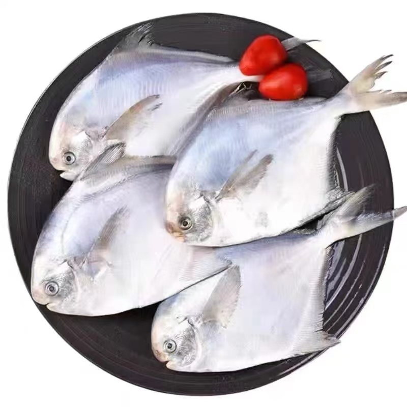 《本地平子鱼+海捕刀鱼》 熬着吃 炸着吃 10斤装  天津发货