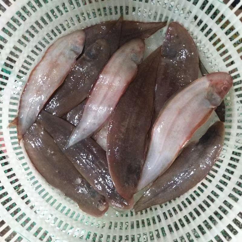 《小目鱼 》5斤装 天津发货 肉厚 炸着吃