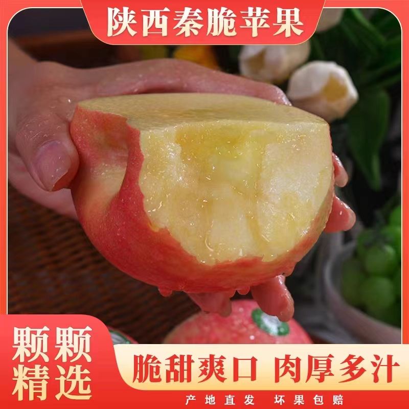 延安苹果-秦脆 吃了秦脆从此再无苹果想吃