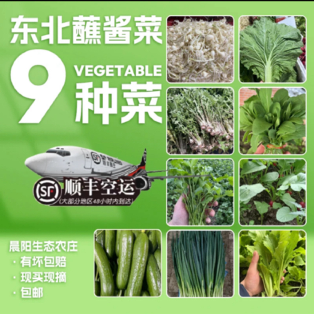 晨阳家东北小嫩蘸酱菜组合（顺丰空运）