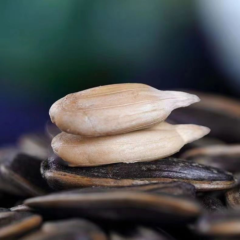 五香瓜子柴火炒制内蒙古大颗粒葵花籽休闲零食美味瓜子