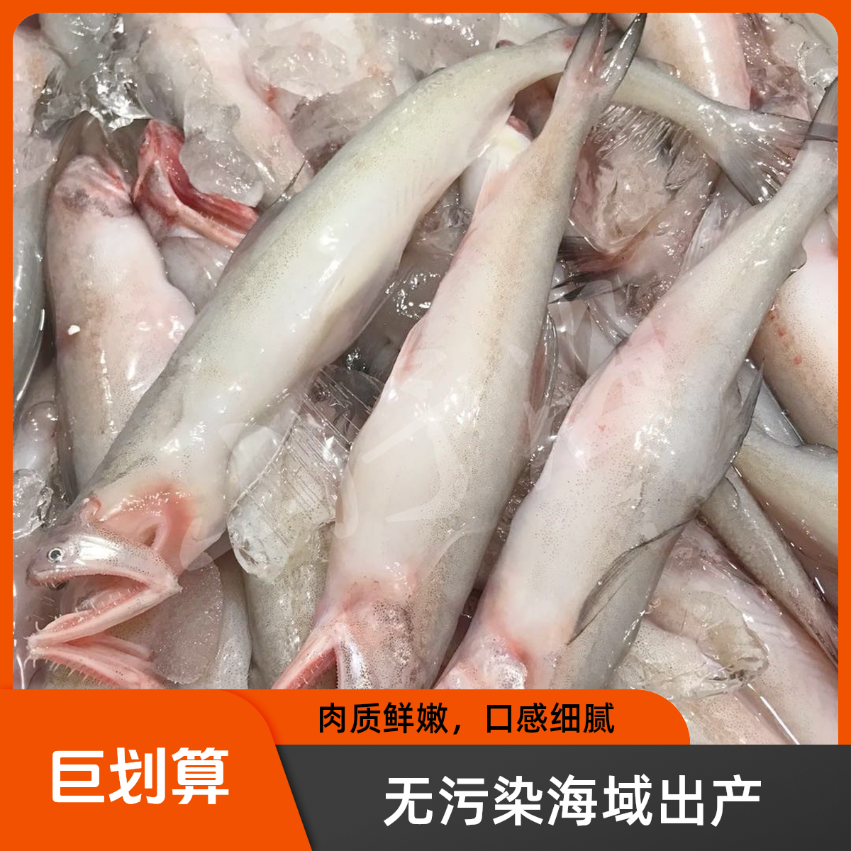 澳角码头自家渔船鲜货豆腐鱼 价格以直播间为准