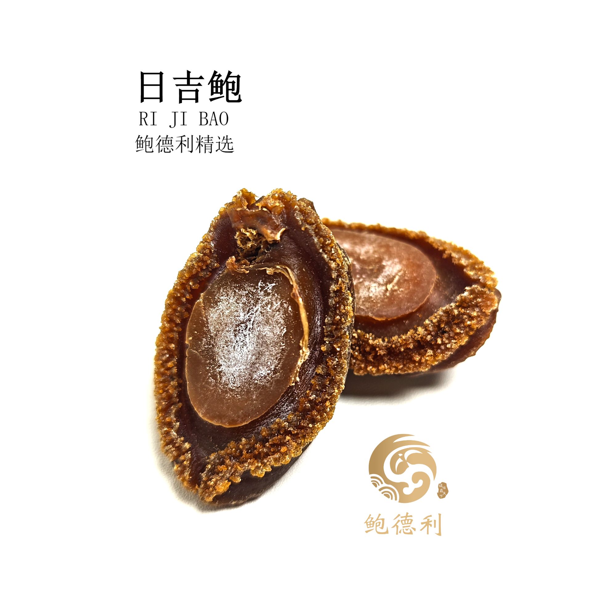 【鲍德利】日吉鲍鱼