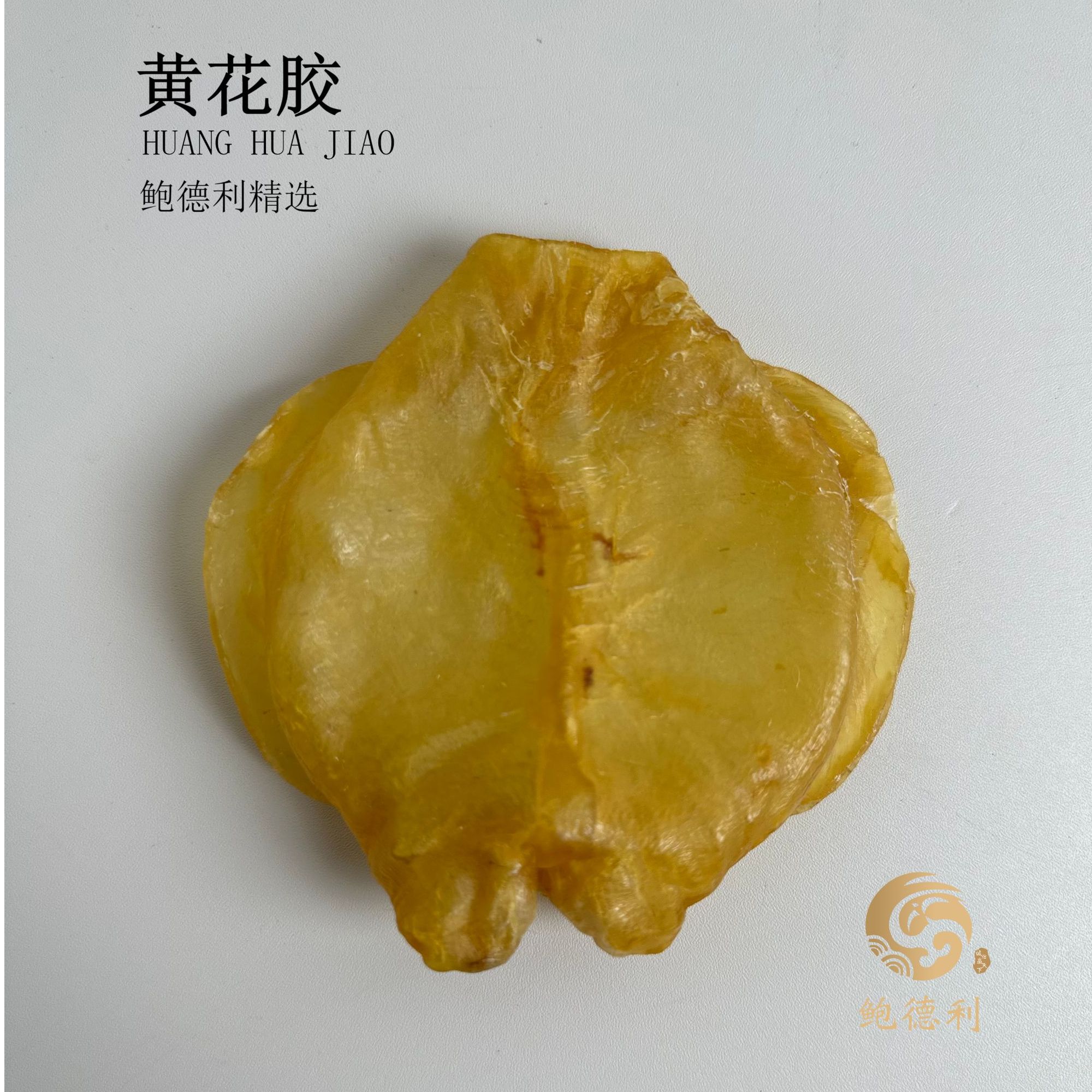 【鲍德利】黄花胶-开片厚肉淡水
