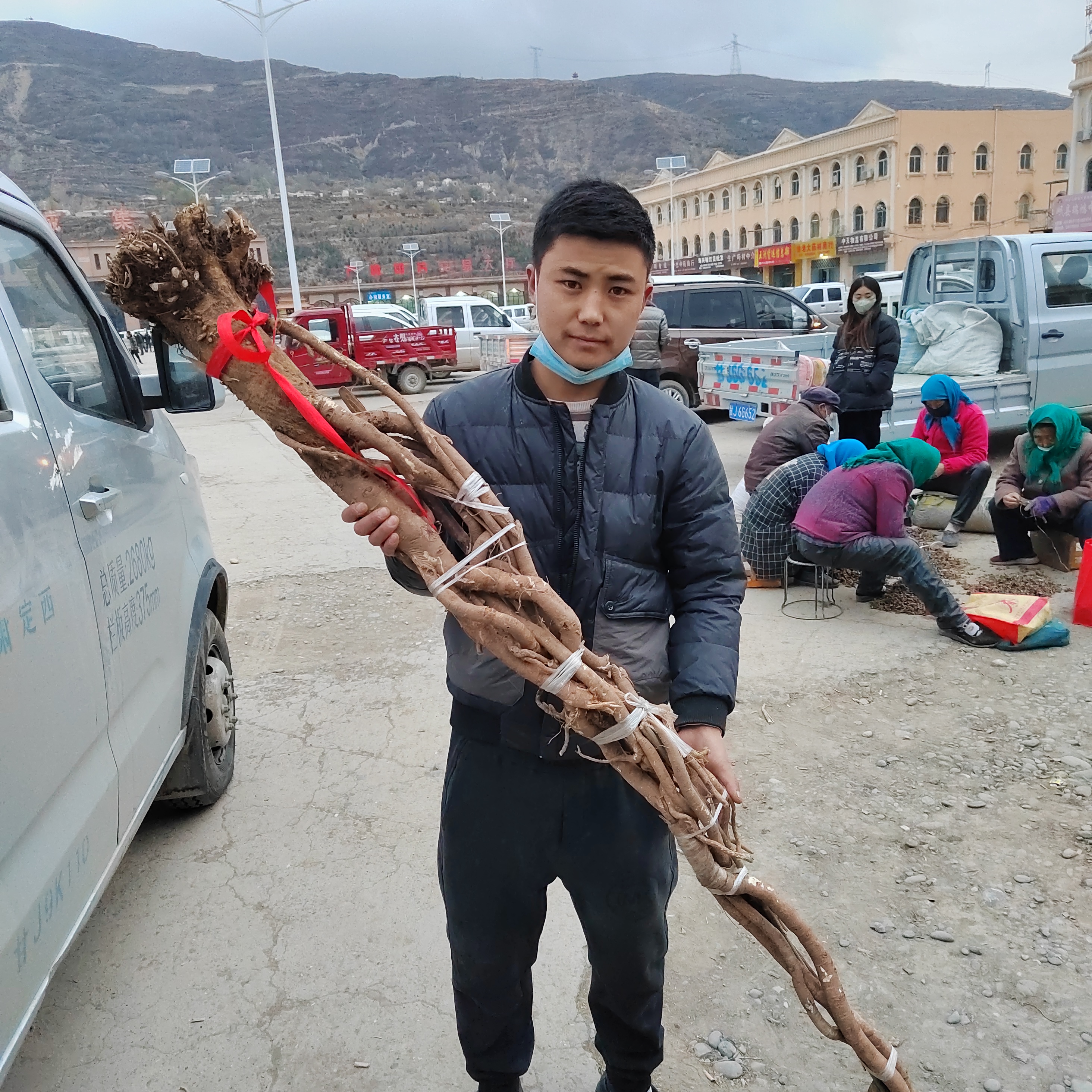 （老黄芪整条）甘肃岷县黄芪整根煲汤煮水包邮