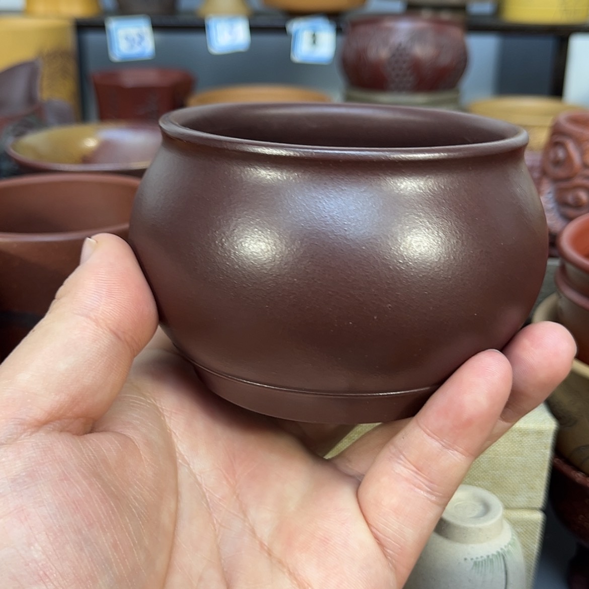 【闪购商品】紫砂茶杯