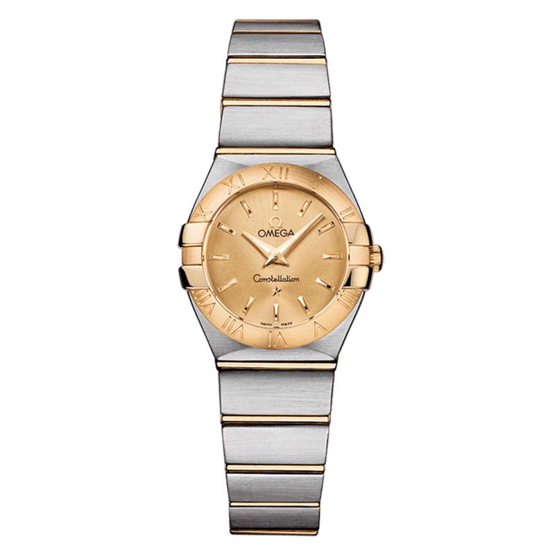 95新 Omega/欧米茄 星座/石英/表径24mm女表123.20.24.60.08.001