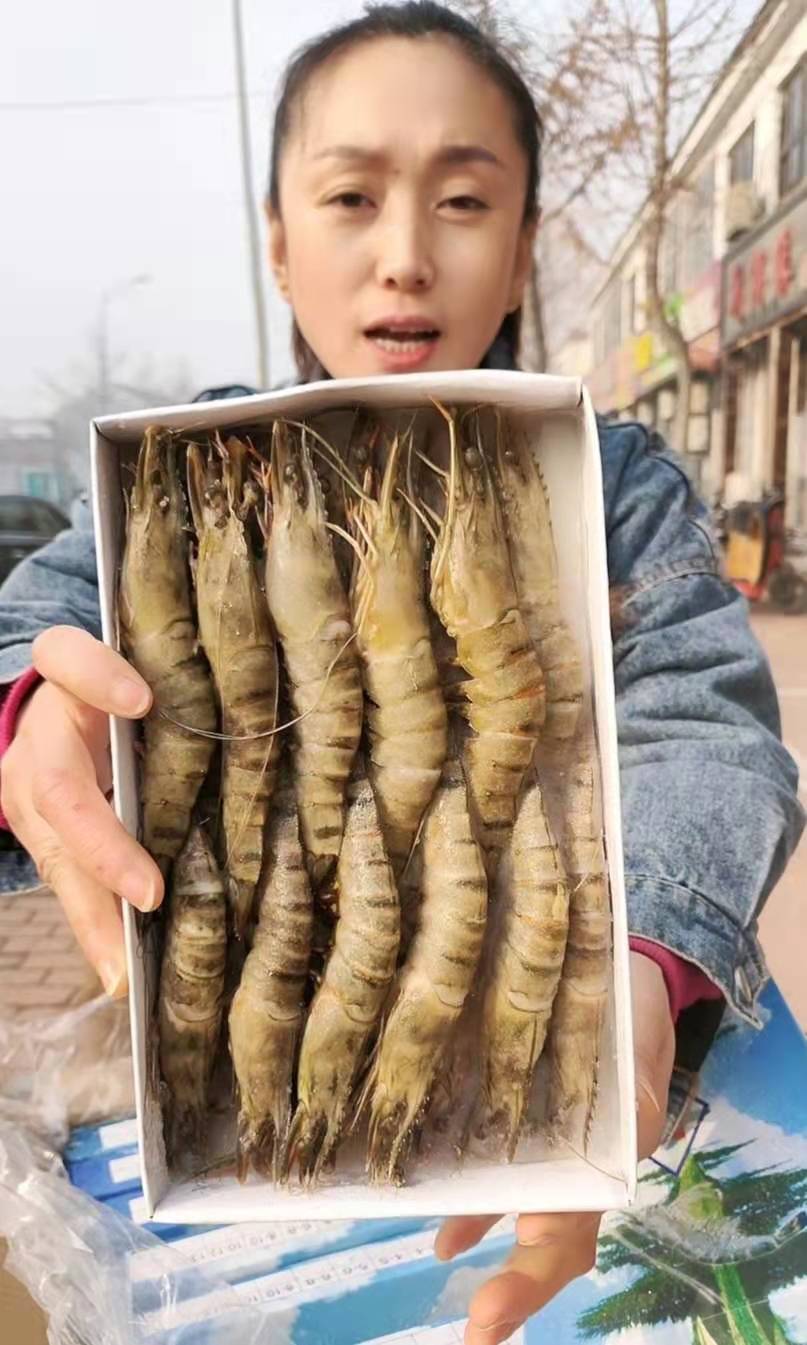 小虎虾（拍2盒送一盒）海鲜不能来回折腾看好下单