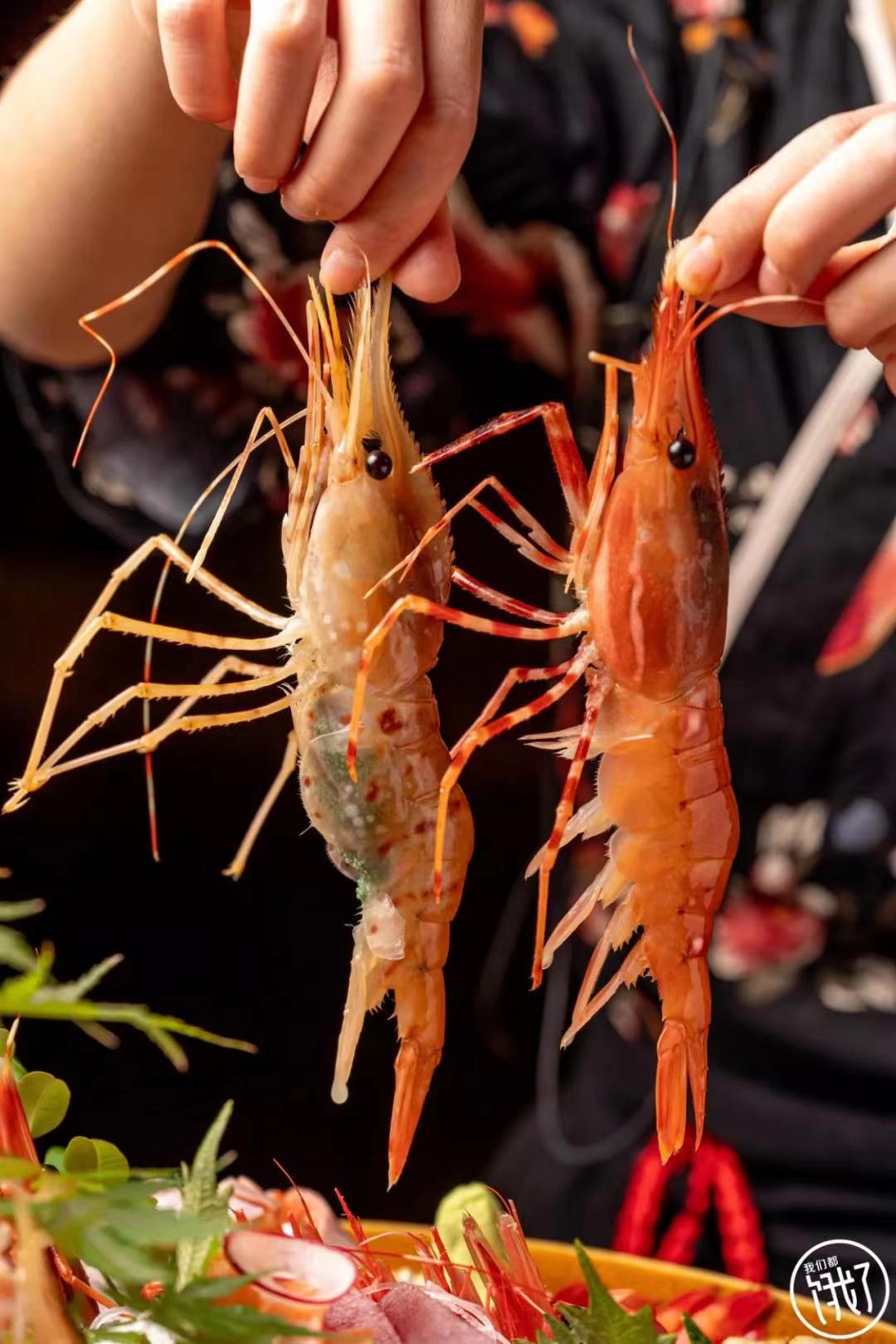 俄罗斯白牡丹虾，鲜活冷冻刺身即食，500克/盒7/9只左右