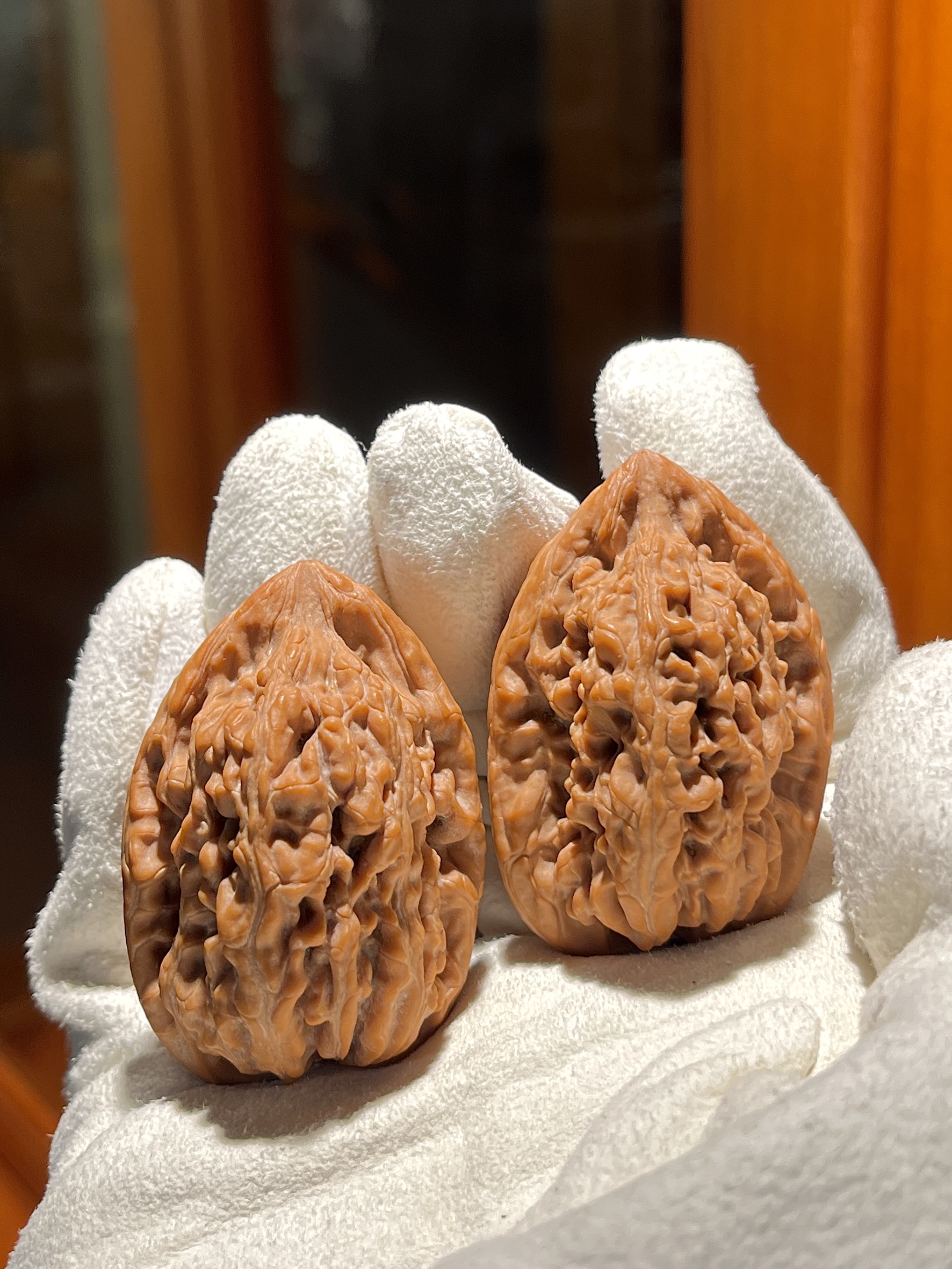 野生麻尖鸡心核桃