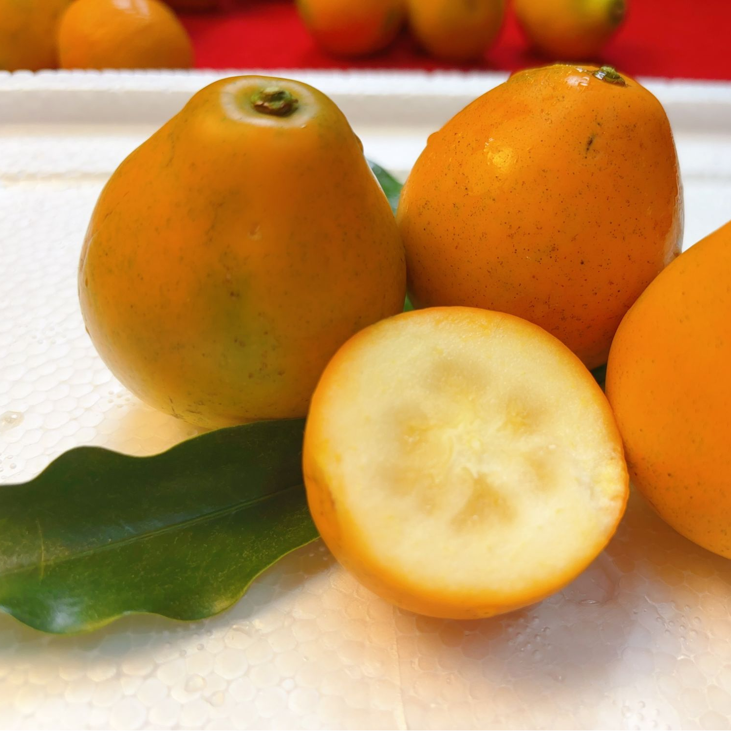 融安发货第三代脆蜜金桔（箱装）正宗脆蜜金桔清甜纯甜清脆健康甄选