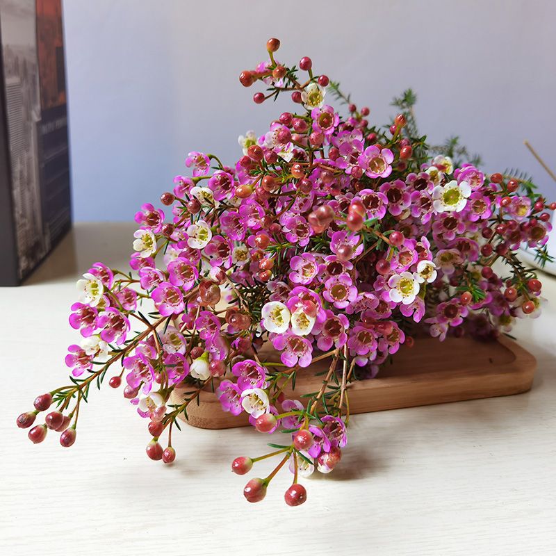 鲜花澳洲腊梅盆栽花卉云南基地直发鲜切花花束花瓶摆件客厅插花