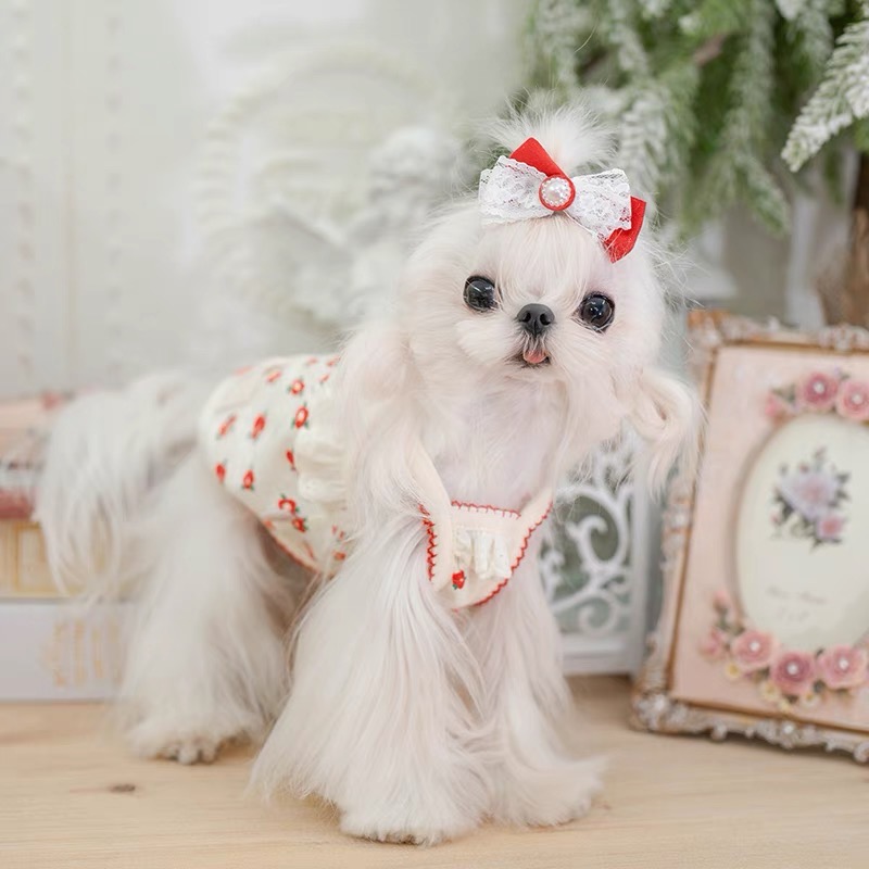 淘淘花瓣春夏公主袖打底柔软设计