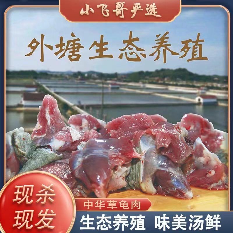 乌龟肉500g