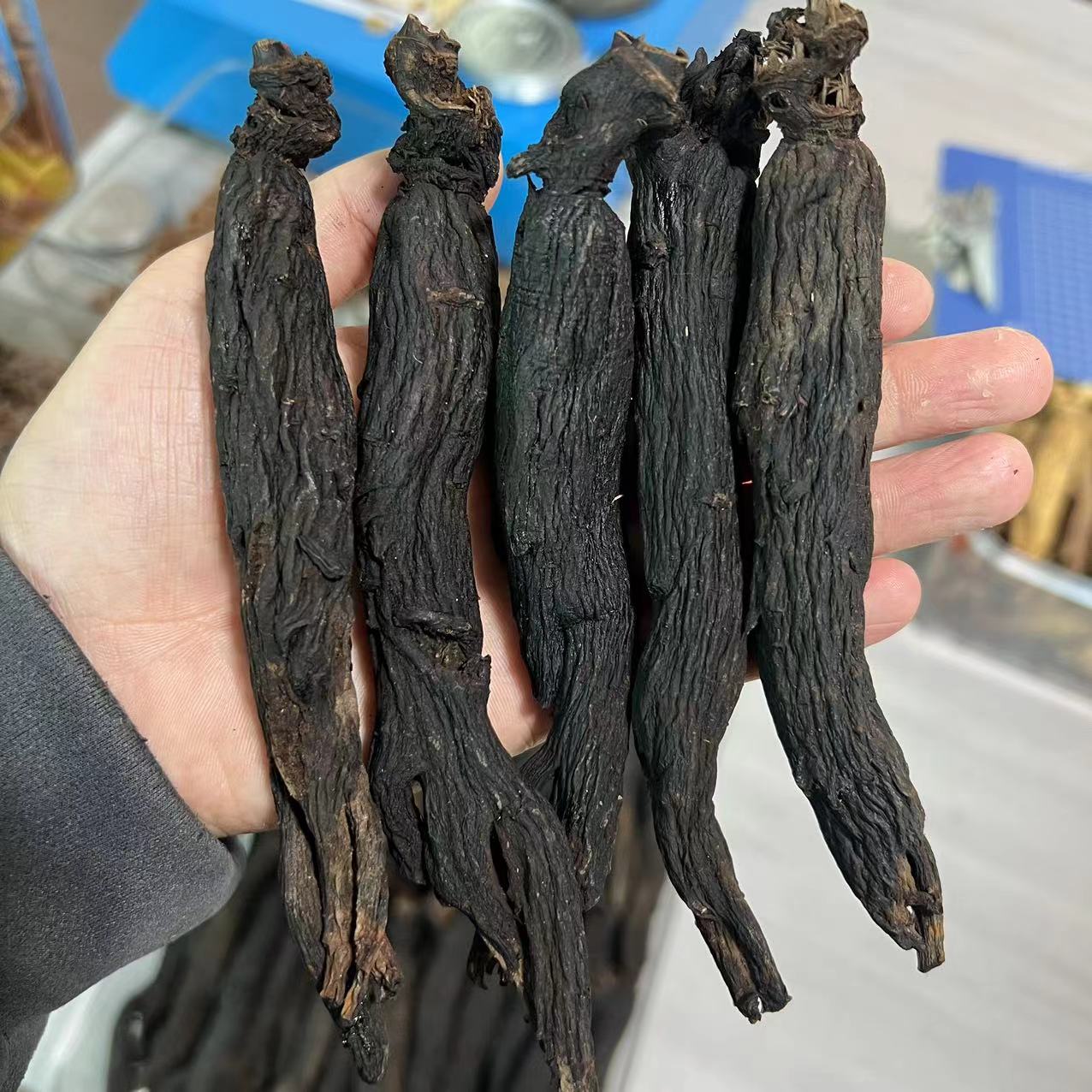 高年份高丽黑参整枝送人送礼保切  净含量250g/500g