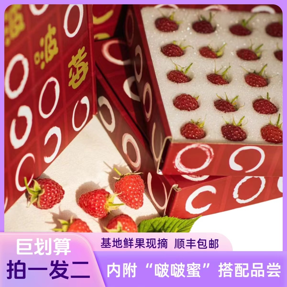 【啵啵莓】宁夏鲜果树莓礼盒*2盒 顺丰包邮 新鲜现摘现发 