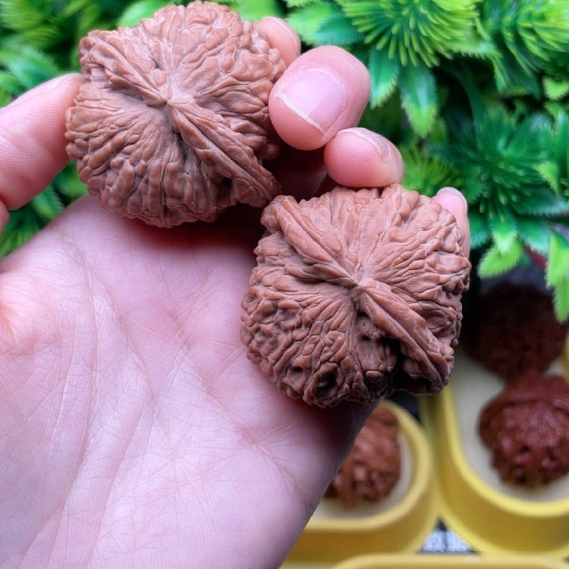 【闪购商品】白狮子43核雕小**儿