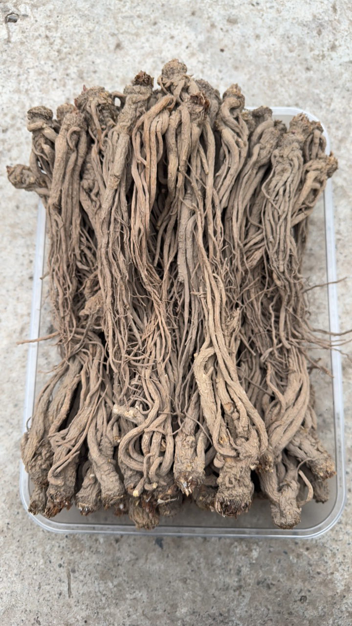 岷县当归小条无硫熏