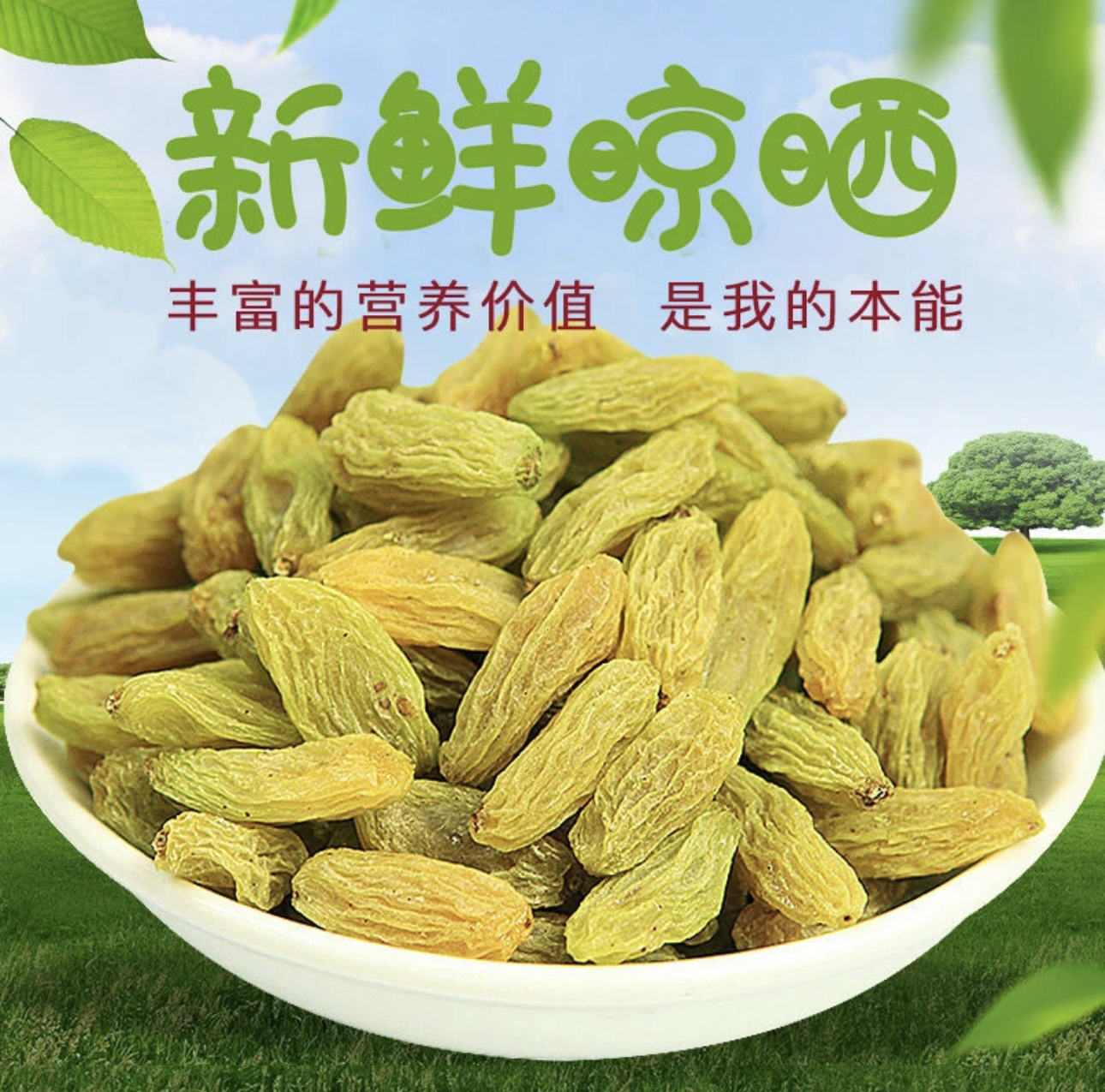 新疆葡萄干 必备品 老少皆宜年货必备