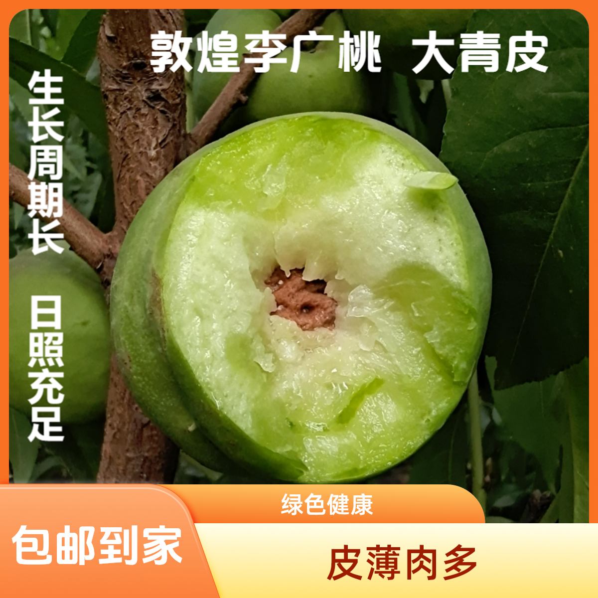 南望祁连品牌正宗敦煌李广桃4.5/8斤含箱京东包邮现采摘新鲜当季