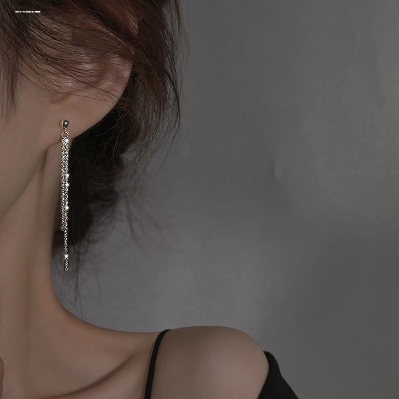 小众满天星流苏耳钉设计感耳饰淑女个性夏季新款长款质感耳坠百搭