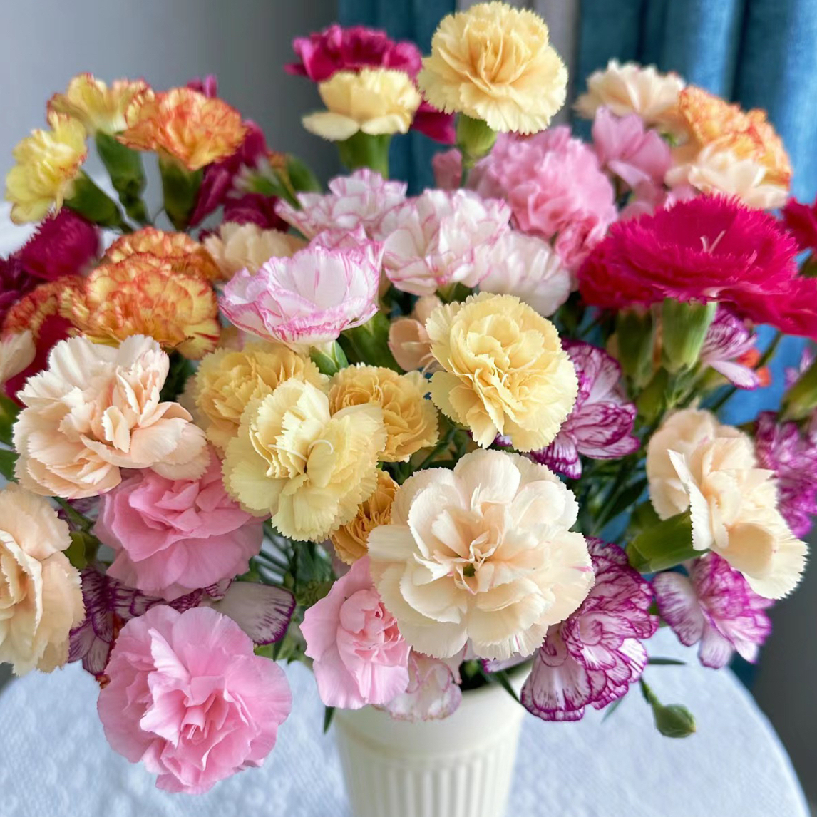 加购花材多丁康乃馨家庭水养鲜花