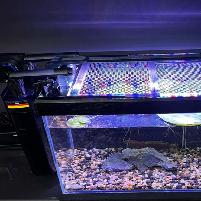 鱼缸铝合金防跳网板水族箱防跳盖网草缸海缸宠物缸水陆防护网定制