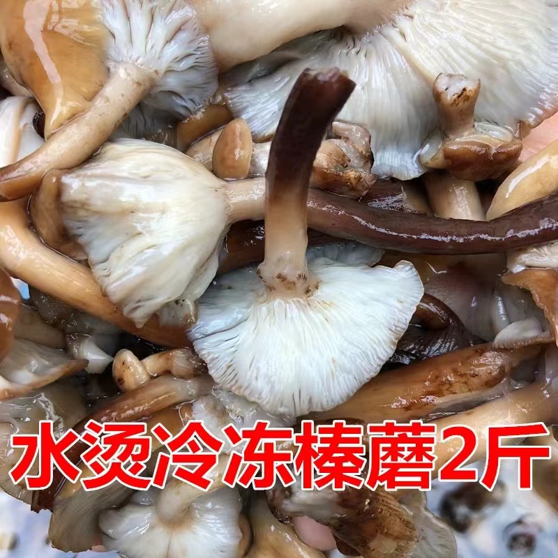 东北野生鲜蘑焯水冷冻发货2斤