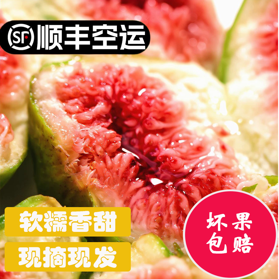 （顺丰空运包邮）现摘威海青皮无花果香甜软糯新鲜饱满清香包赔