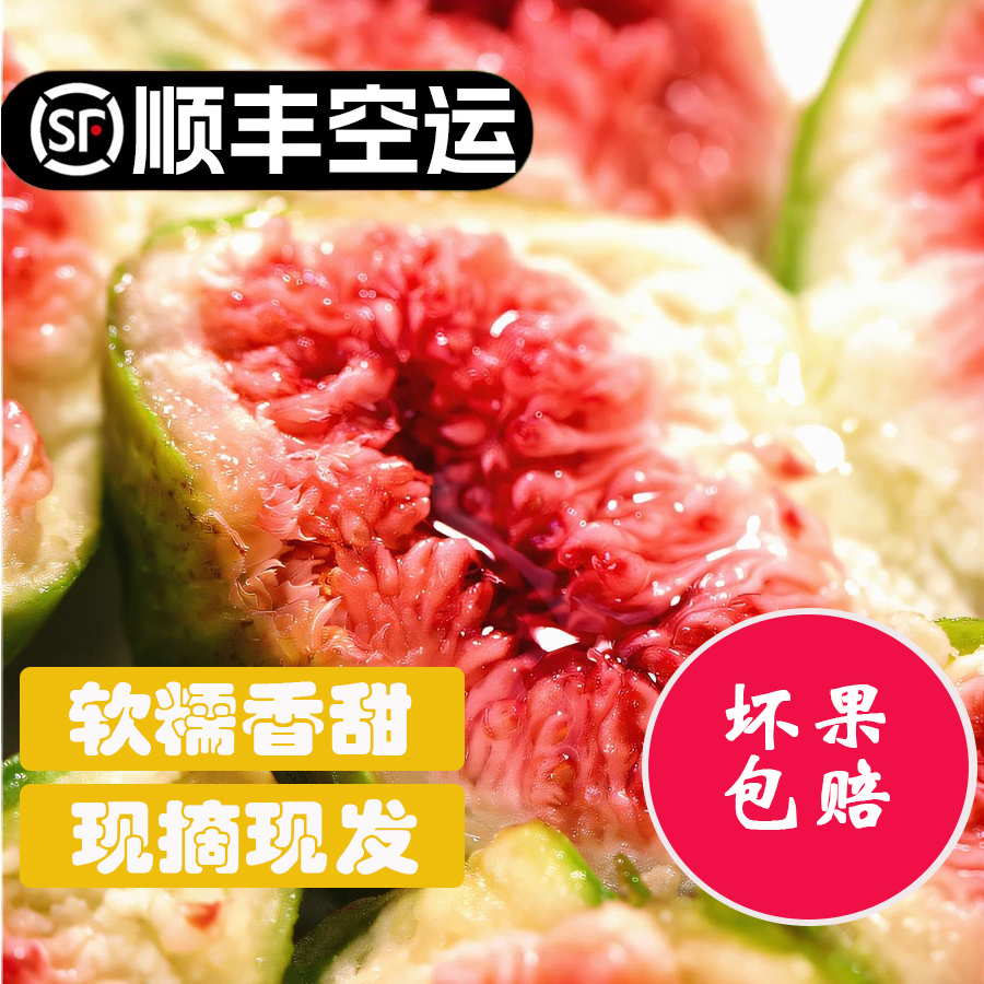 （顺丰空运包邮）威海现摘新鲜无花果软糯香甜饱满清香包赔