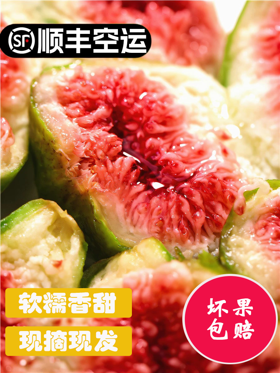 【顺丰包邮礼盒装9分熟】威海青皮无花果秋果软糯香甜礼盒装